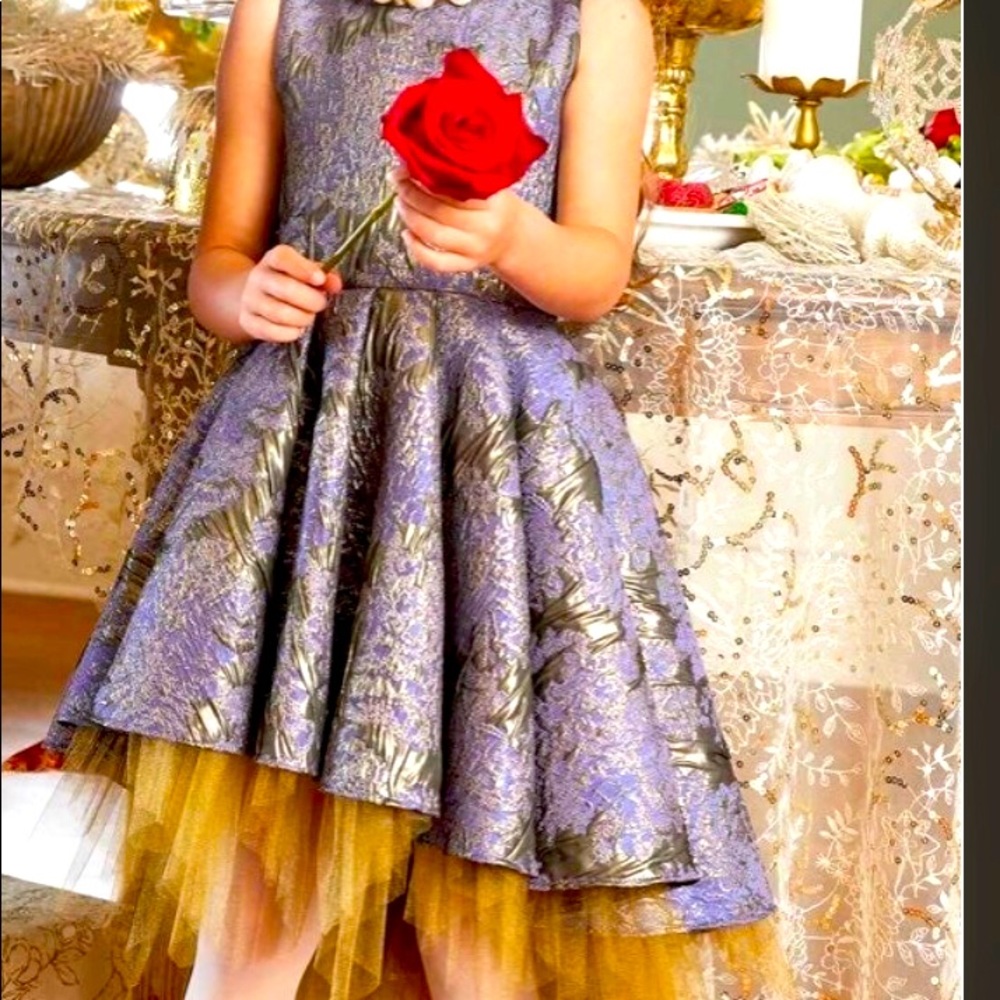 Like NEW $198 Chasing Fireflies Boutique Girls Brocade & Tulle Dress Siz…